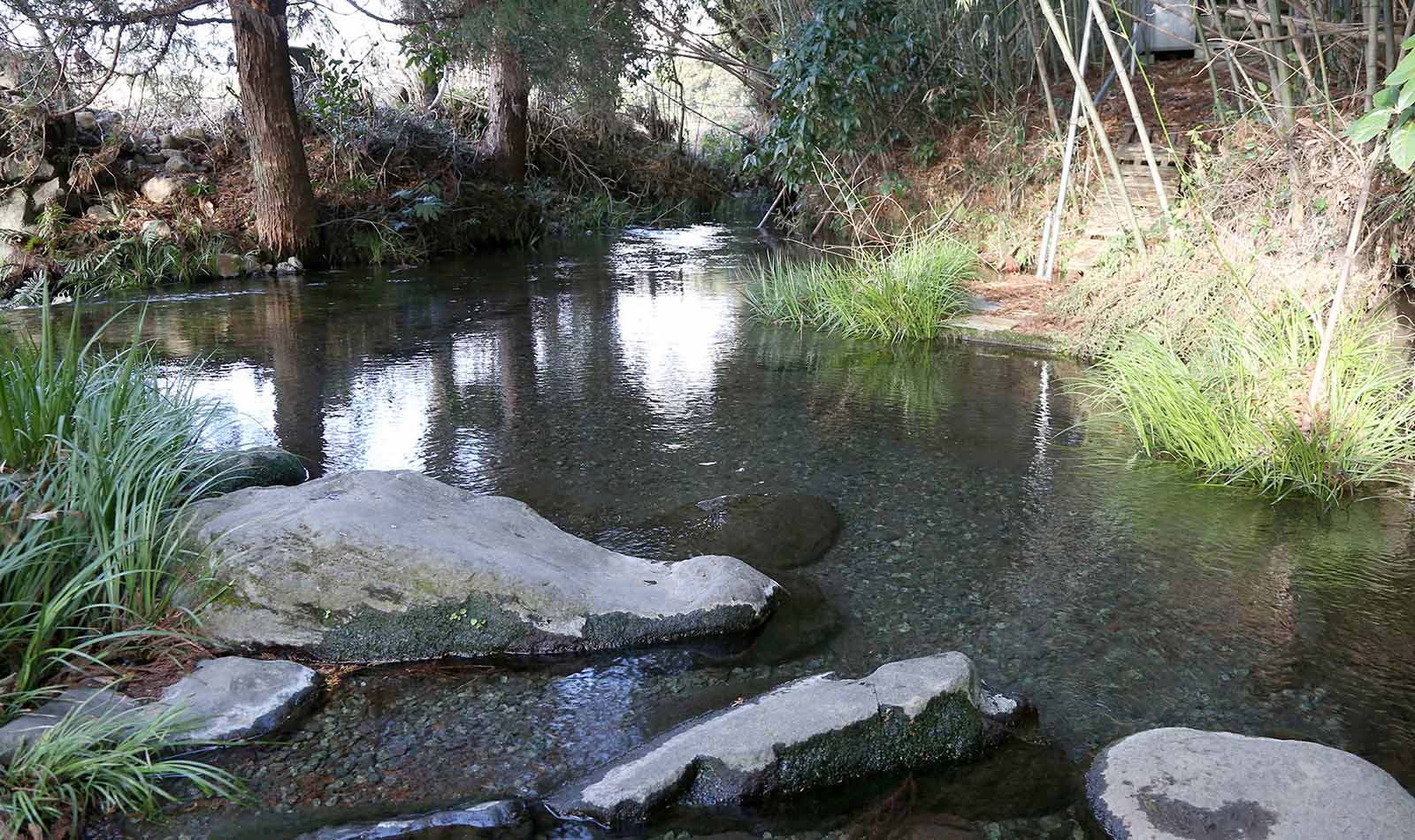 南阿蘇村内にある蕎麦に適した湧水の「竹崎水源」