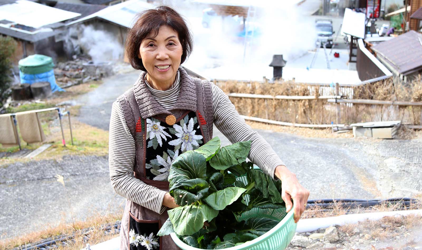 一株が大きい黒菜