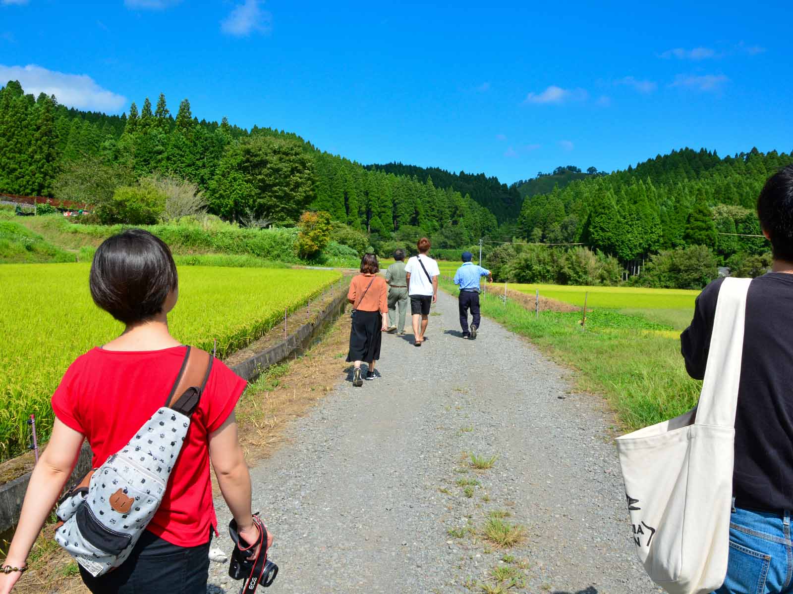 中湯田コース 南小国町