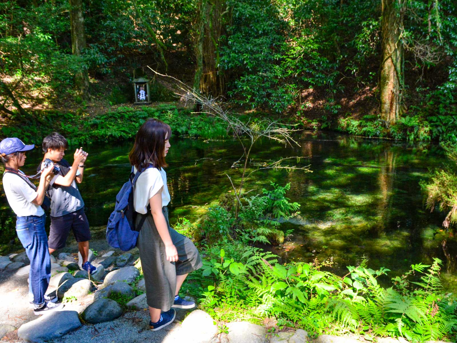 池山水源コース 産山村