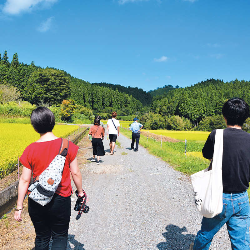 中湯田コース 南小国町